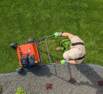Landscape Maintenance